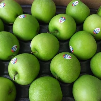 87+ Gambar Apel Granny Smith Kekinian 87+ Gambar Apel Granny Smith Kekinian