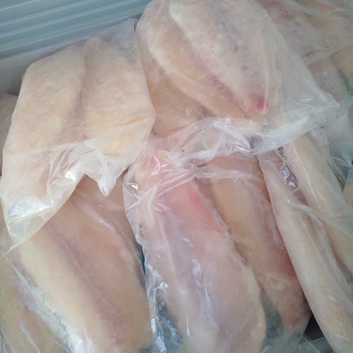 Katalog 1 Kg Ikan Dori Travelbon.com Katalog 1 Kg Ikan Dori Travelbon.com