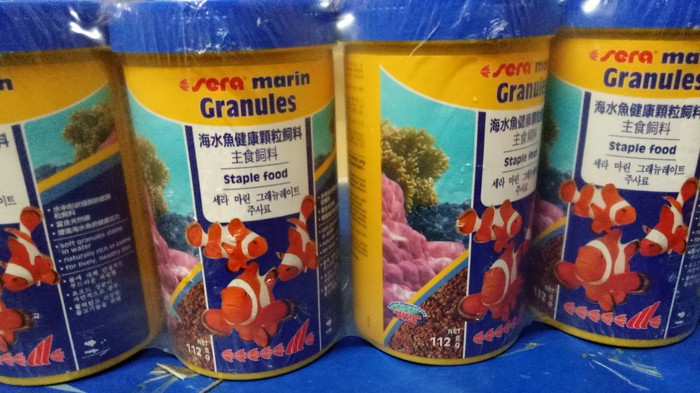 Katalog Ikan Hias Air Laut Travelbon.com Katalog Ikan Hias Air Laut Travelbon.com