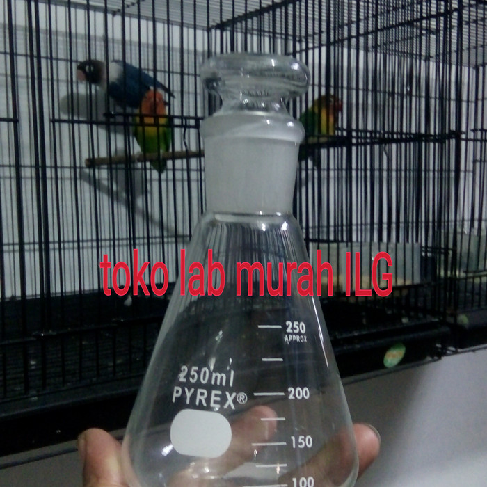 300+ Gambar Erlenmeyer Bertutup Gratis 300+ Gambar Erlenmeyer Bertutup Gratis