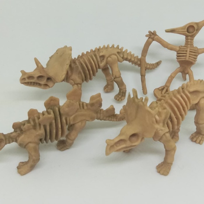 101+ Gambar Tengkorak Dinosaurus 101+ Gambar Tengkorak Dinosaurus