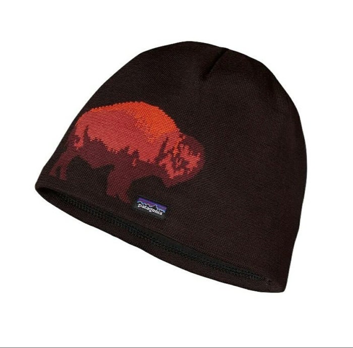patagonia lined beanie