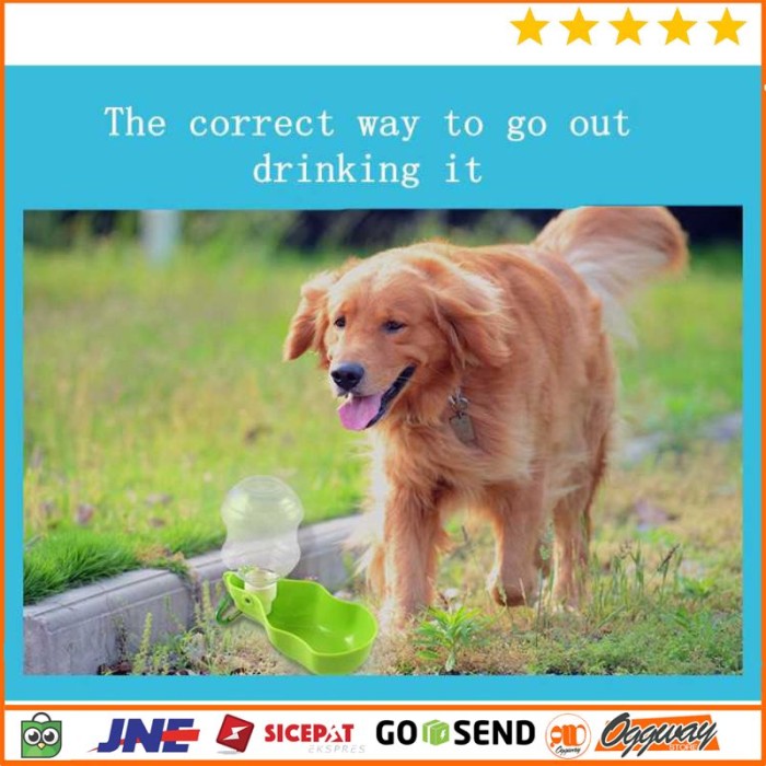 Botol Minum Dispenser Air Tempat Minum Anjing Drinking Fountain 500ml