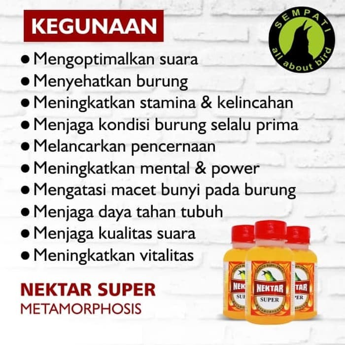 Katalog Suara Burung Gacor DaftarHarga.Pw Katalog Suara Burung Gacor DaftarHarga.Pw
