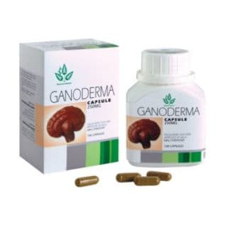 diabetes tintura ganoderma