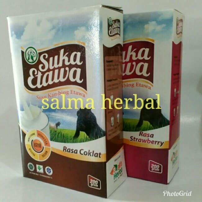 Harga Susu Kambing Etawa Travelbon.com Harga Susu Kambing Etawa Travelbon.com