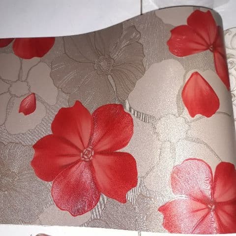 Unduh 500 Wallpaper Bunga Merah HD Terbaik Unduh 500 Wallpaper Bunga Merah HD Terbaik