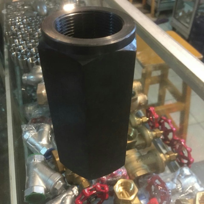 Check Valve Cs #3000 NPT 3/4 Inch