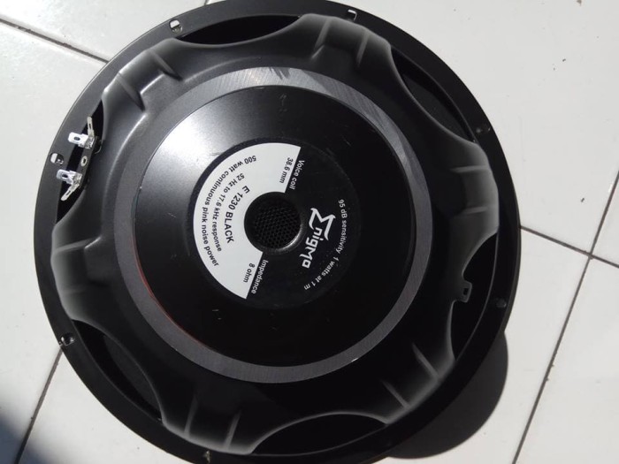 speaker enigma 12 inch