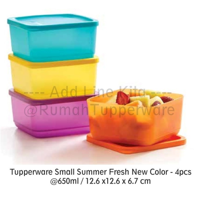 Tupperware ECER Small Summer Fresh (SATUAN)
