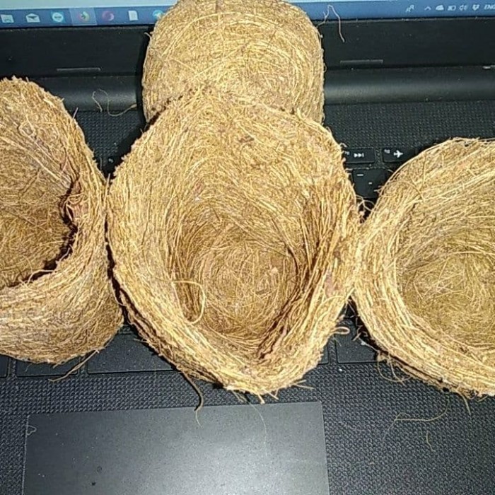 Cara Membuat Tempat Pensil Dari Sabut Kelapa Membuat Itu