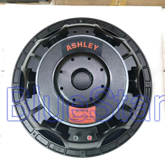 speaker bw 18 inch