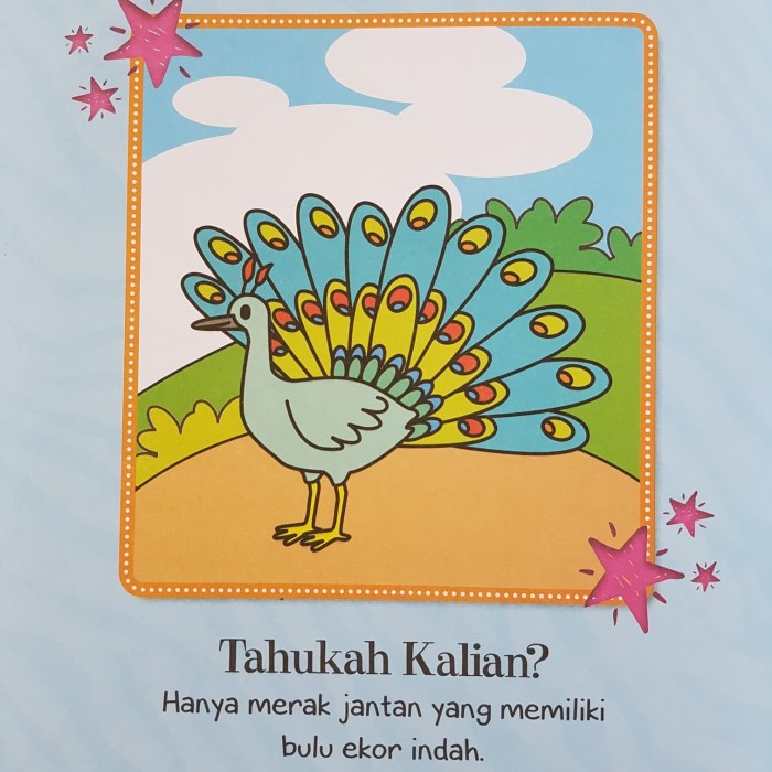 84 Koleksi Gambar Mewarnai Binatang Terbang HD