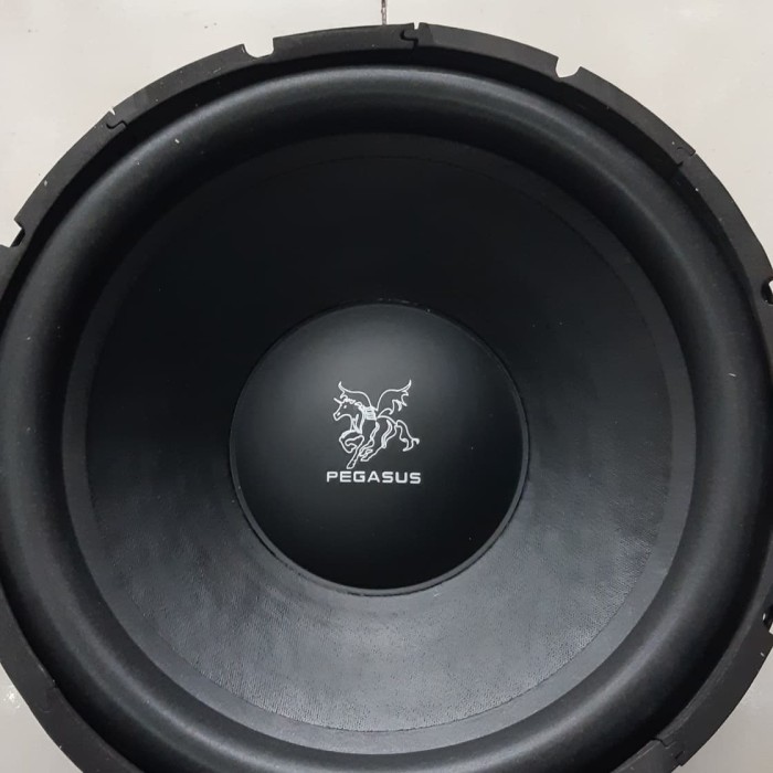 speaker subwoofer 15 inch