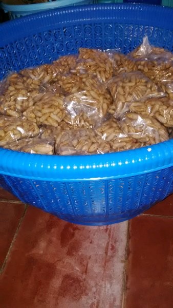 Info Jenis Kurma Dan Nya Hargano.com Info Jenis Kurma Dan Nya Hargano.com