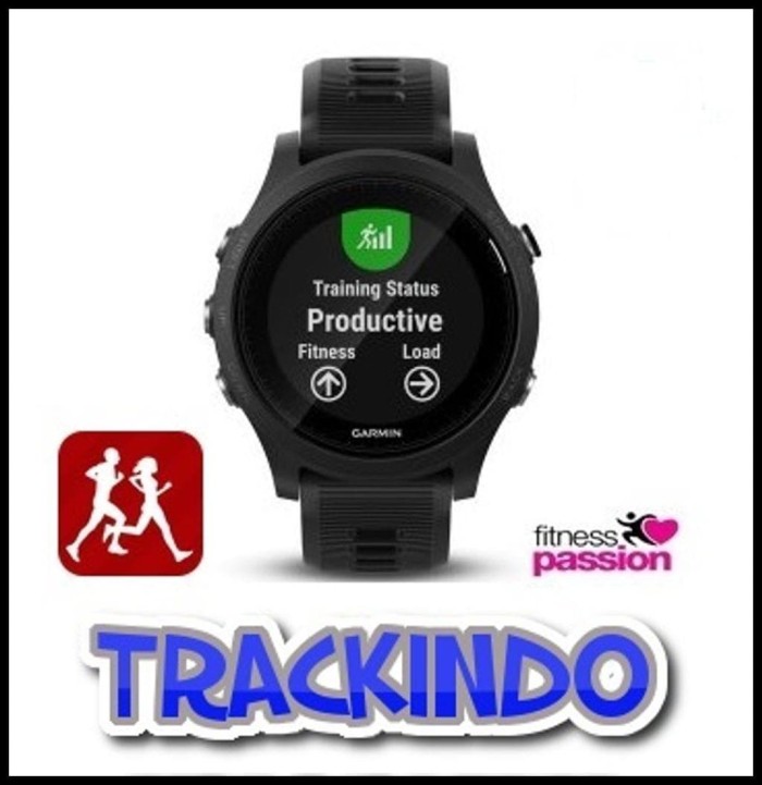 garmin watch for triathlon training