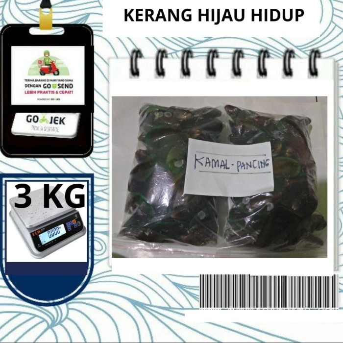 Katalog Seafood Hidup Travelbon.com Katalog Seafood Hidup Travelbon.com