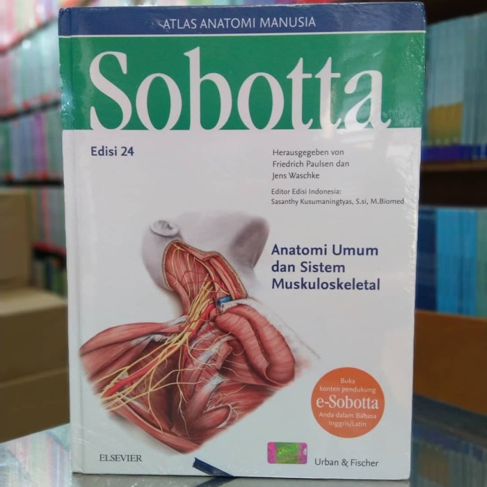 1000+ Gambar Cover Buku Yang Isinya Menjelaskan Tentang Otot Manusia Terbaik 1000+ Gambar Cover Buku Yang Isinya Menjelaskan Tentang Otot Manusia Terbaik