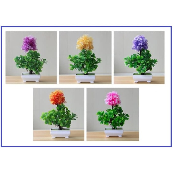 Jual Bunga Bonsai Bulat Kab Tangerang Bunga Hias Official Jual Bunga Bonsai Bulat Kab Tangerang Bunga Hias Official
