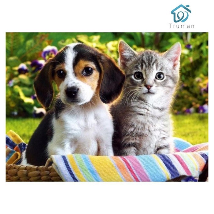 Jual Esp Diy Lukisan Diamond 5d Dengan Gambar Anjing Dan Kucing Untuk Kab Bandung Enemy Store Pro Tokopedia
