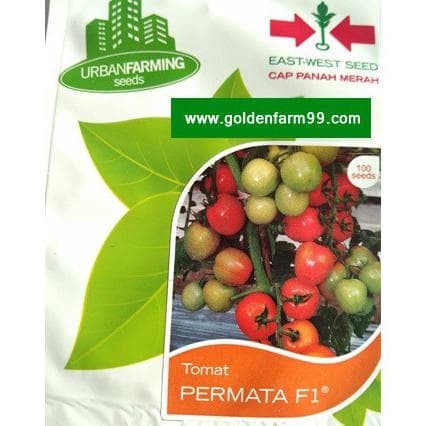 Jual Benih Bibit Tomat 1 Pouch Isi 100 Seed Termurah Jakarta