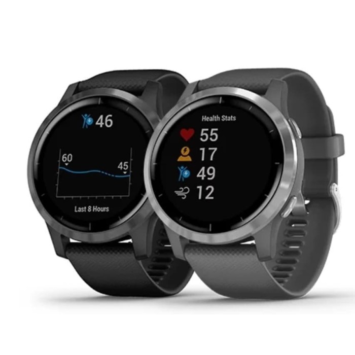 garmin vivoactive 4 2019