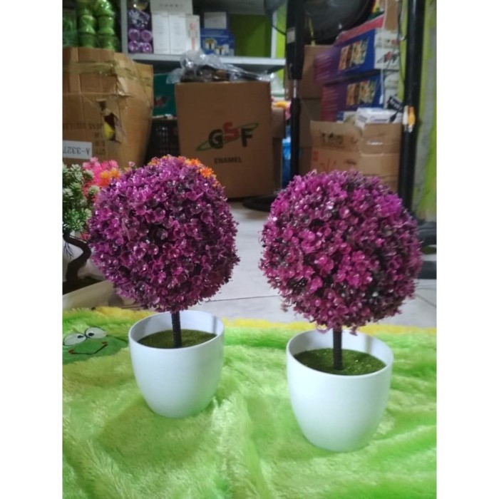  Jual  Bunga Bonsai  Bulat Kab Tangerang  Bunga Hias Official 