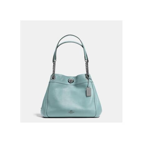 coach turnlock edie carryall