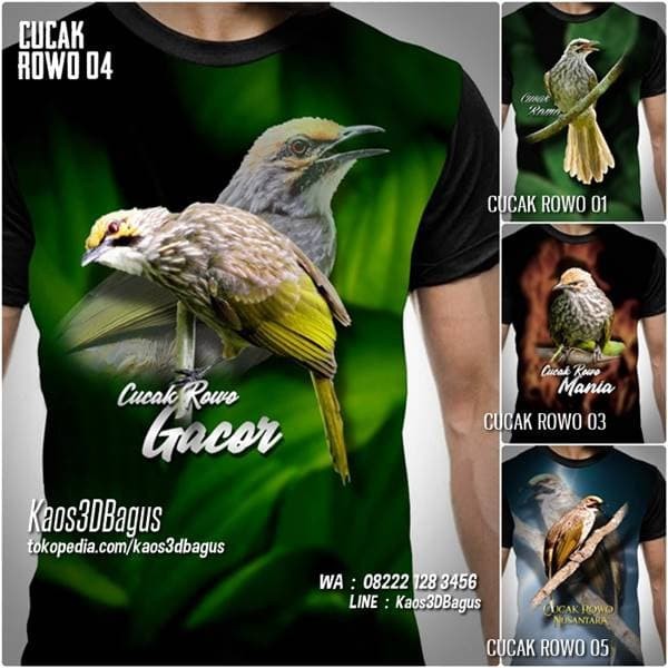 11+ Burung cucak rowo gacor mp3 terbaru