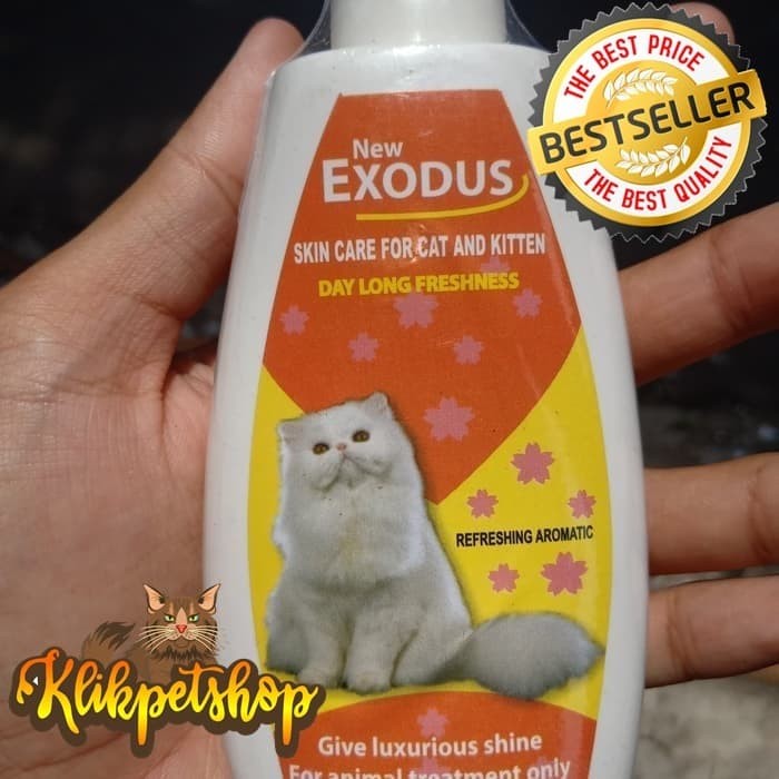 cat skin care
