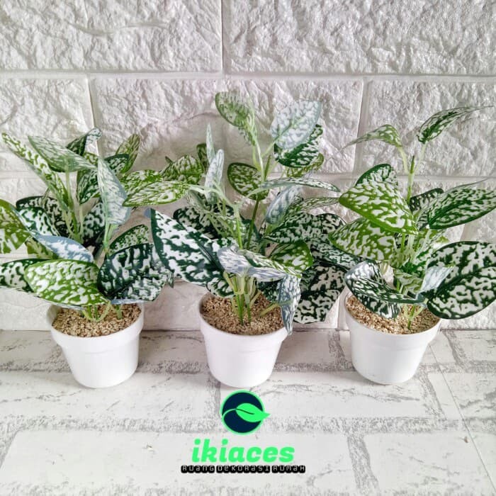 Foto Produk Daun Plastik Bunga Artificial Plastik Dekorasi Taman dari ikiaces