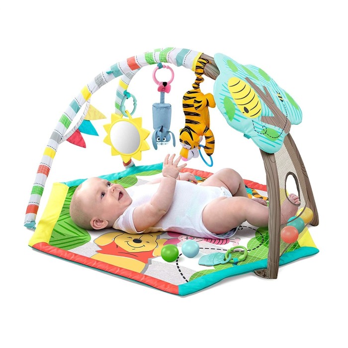 winnie the pooh play gym