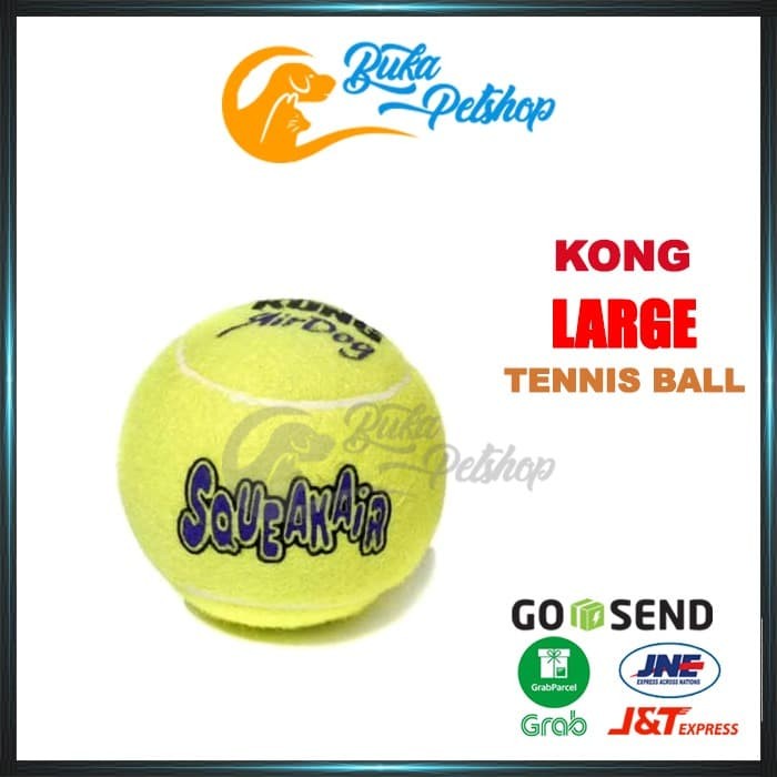 kong squeakair large