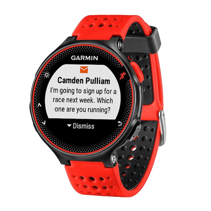 garmin 325