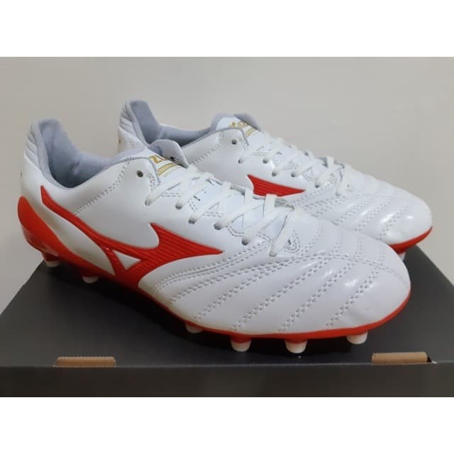 mizuno torres