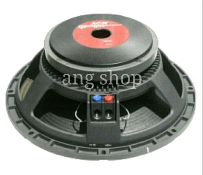 speaker 15 inci