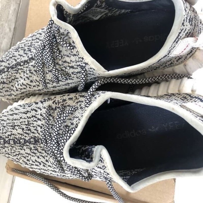 v1 turtle dove
