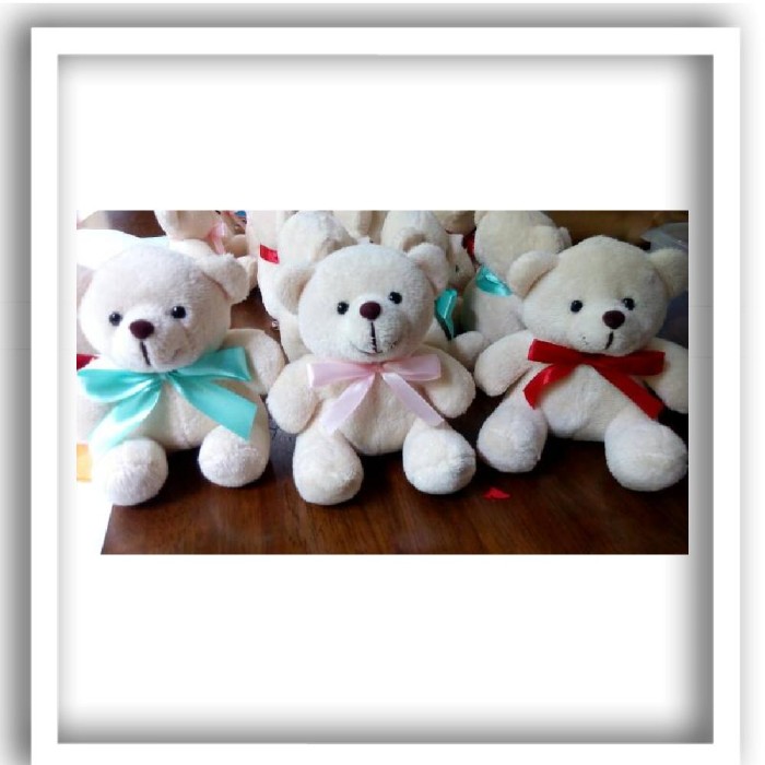 sushi teddy