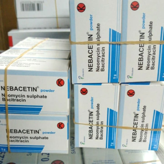 Nebacetina obat diabetes untuk