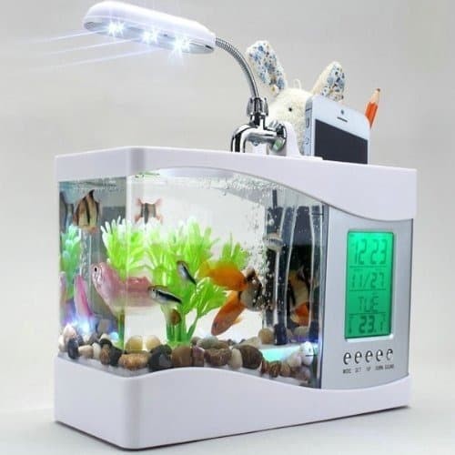 Jual Aquarium Unik dengan Tempat Bolpen dan HP, lampu LED ...