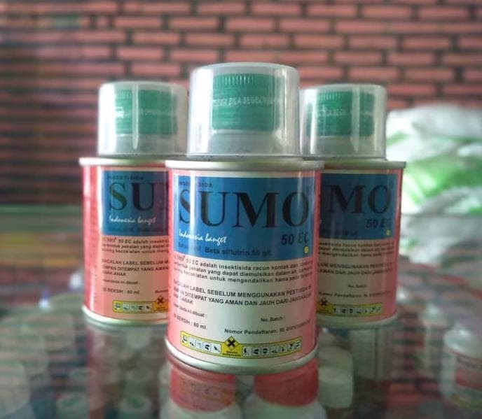 Jual Pembasmi Wereng Orong Orong Hewan Tanah Insektisida Sumo 50
