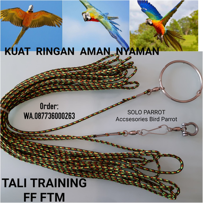 Jual Tali Untuk Latihan Training Ff Ftm Burung Parrot Kab
