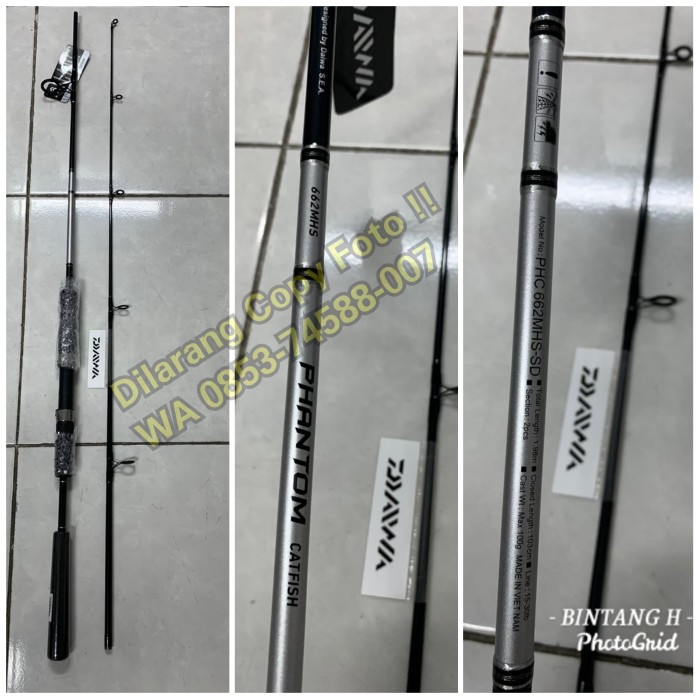 daiwa phantom catfish