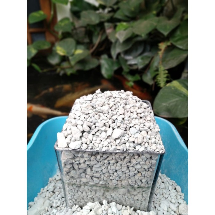 Jual Batu Zeolite 1 Kg Zeolit Media Filter Kolam Aquarium ukuran sedang