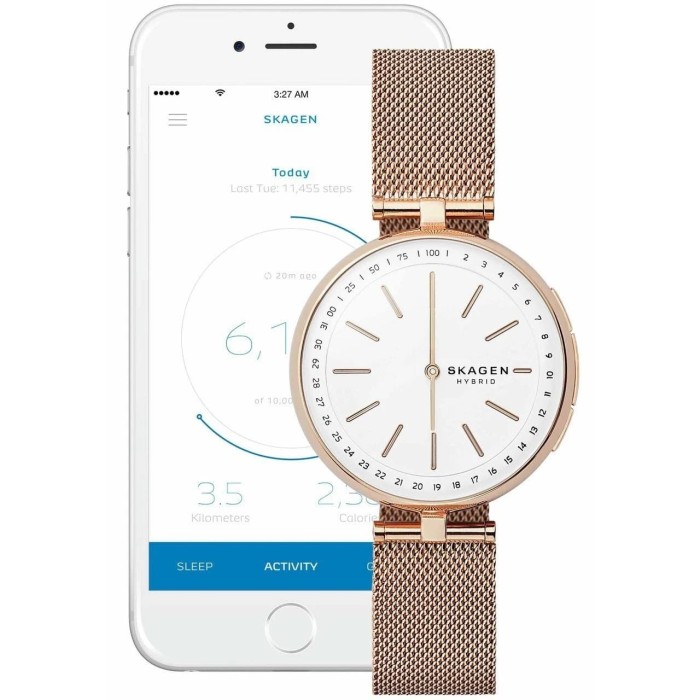 skagen signatur smartwatch