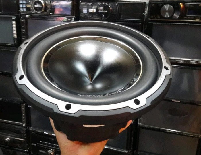 lightning audio 10 inch subwoofer