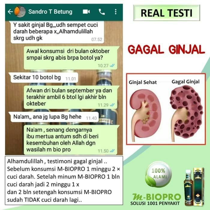 lidah mertua sebagai obat diabetes gagal ginjal lidah mertua sebagai obat diabetes gagal ginjal