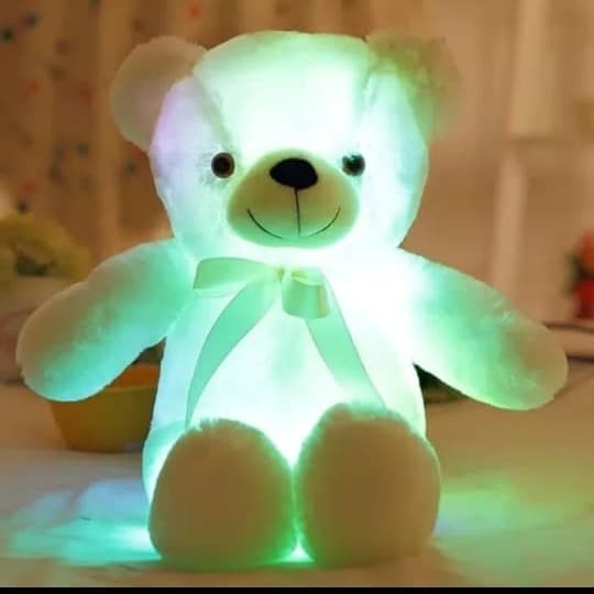 teddy led