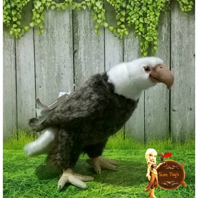 480 Koleksi Gambar Burung Elang Dari Styrofoam Gratis Terbaik