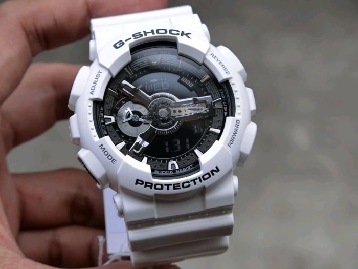 ga 110 gw